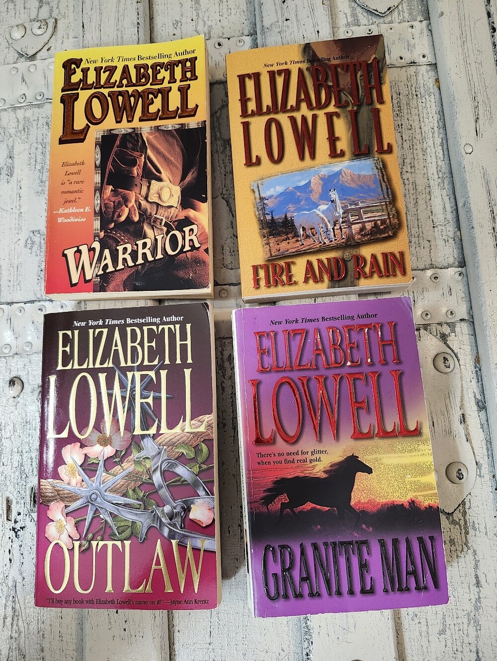 Elizabeth Lowell Romance Novel Bundle